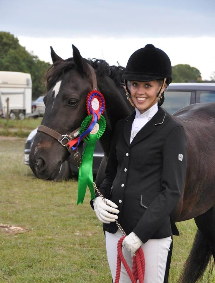 Welsh Cob (sec D) Højsgaard's santos B-PONY billede 1