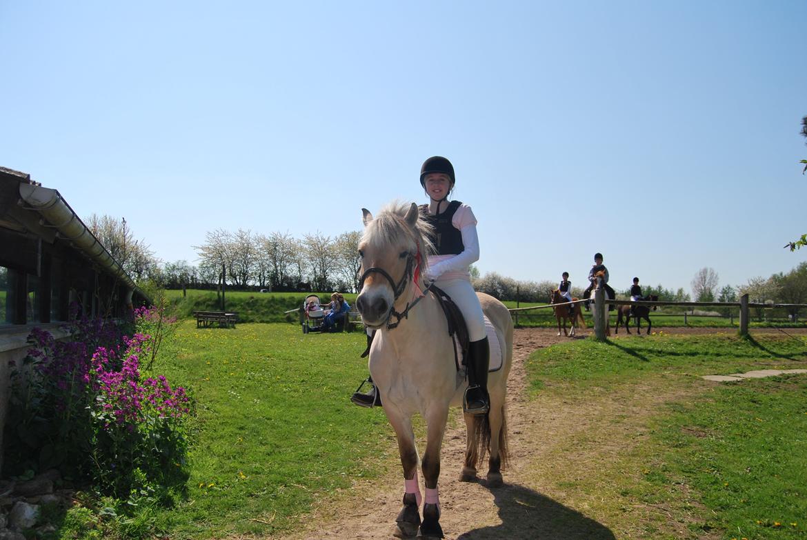 Fjordhest Shadow - Vores første stævne - Første plads i spring - Anden plads i dressur - Så stolt :-P billede 8