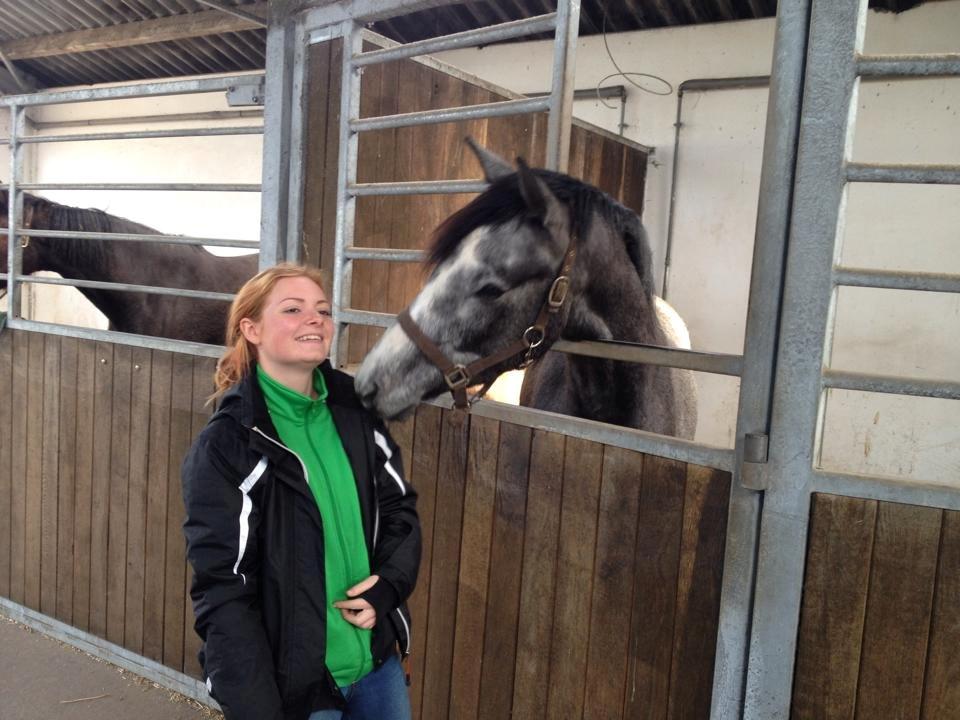 Dansk Varmblod Lucky Luciano - Da vi var hjemme og møde ham igen i marts. Nussetrold ;-) billede 8