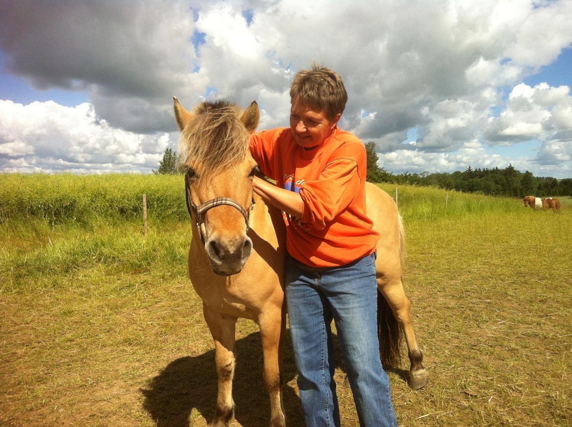 Anden særlig race Charlie billede 14