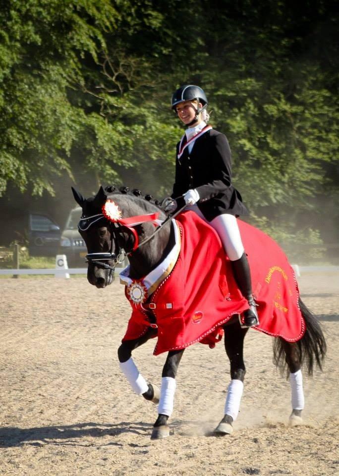 New Forest Calandias Avalanche (Caval) - Distriktsmesterskab D3 for hold 2014. :) billede 1