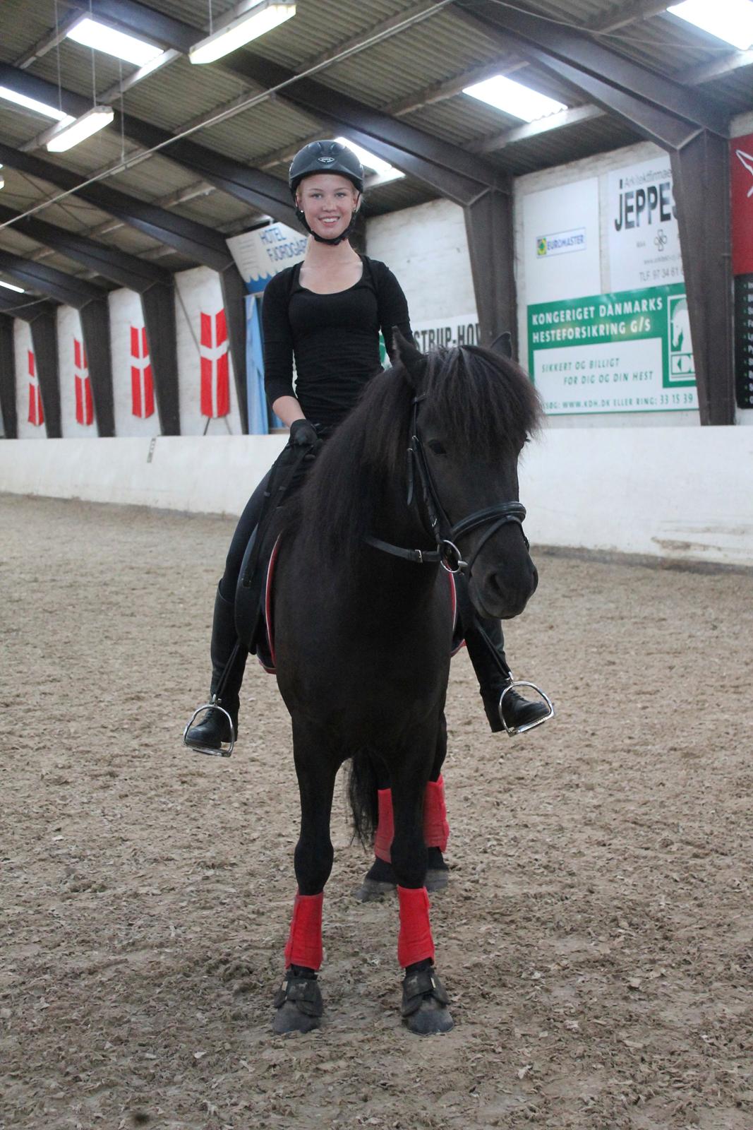 Islænder Askur frá Oddsstöðum I billede 9