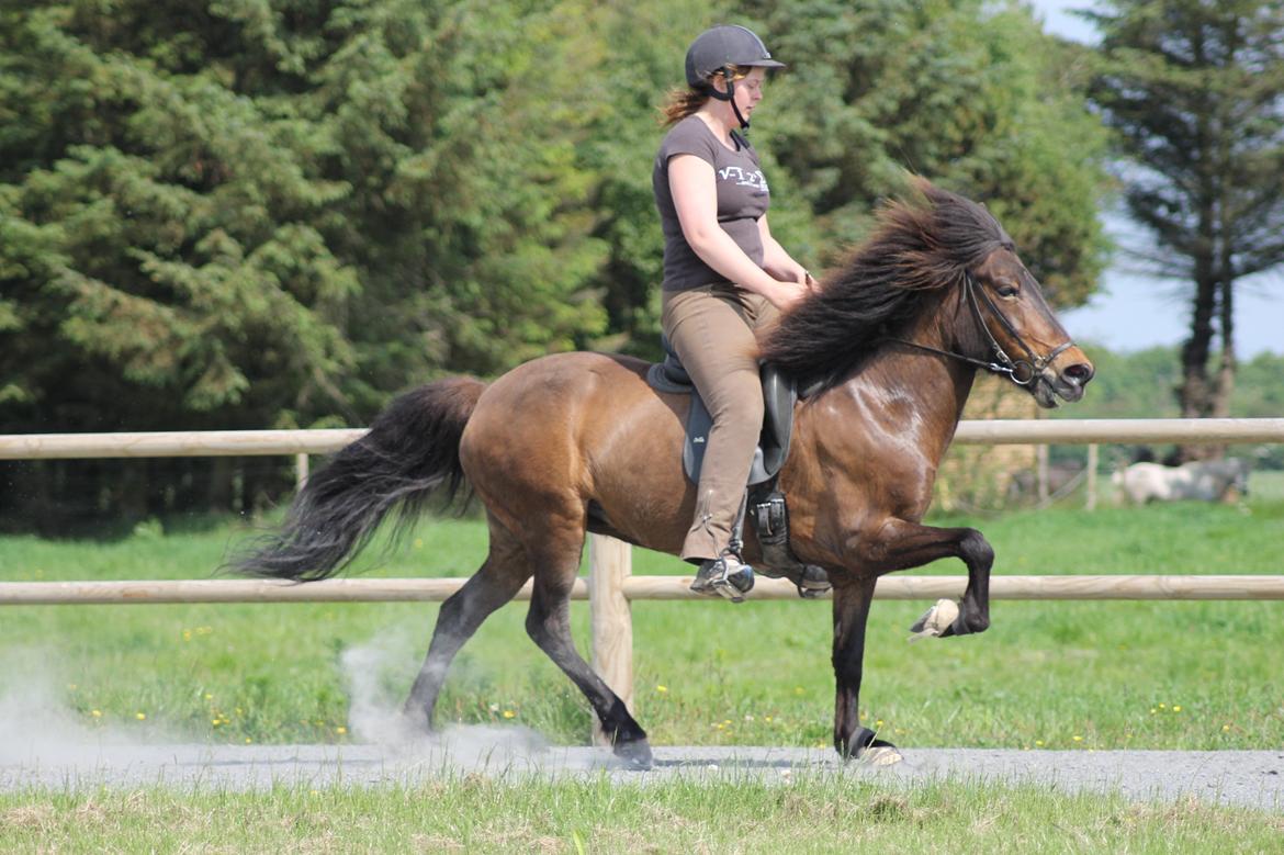 Islænder Eydis fra Valhalla billede 1