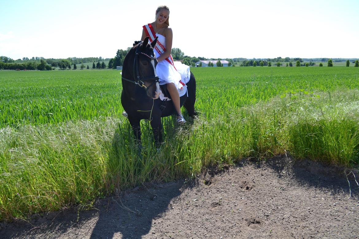 Tysk Sportspony Aquador • B-PONY • - 29/5-14 Agge kom til min konfirmation billede 2