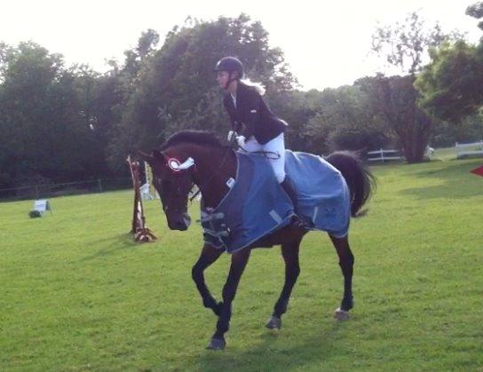 Dansk Varmblod FIGHTER - Vinder LC cup på KIR billede 10