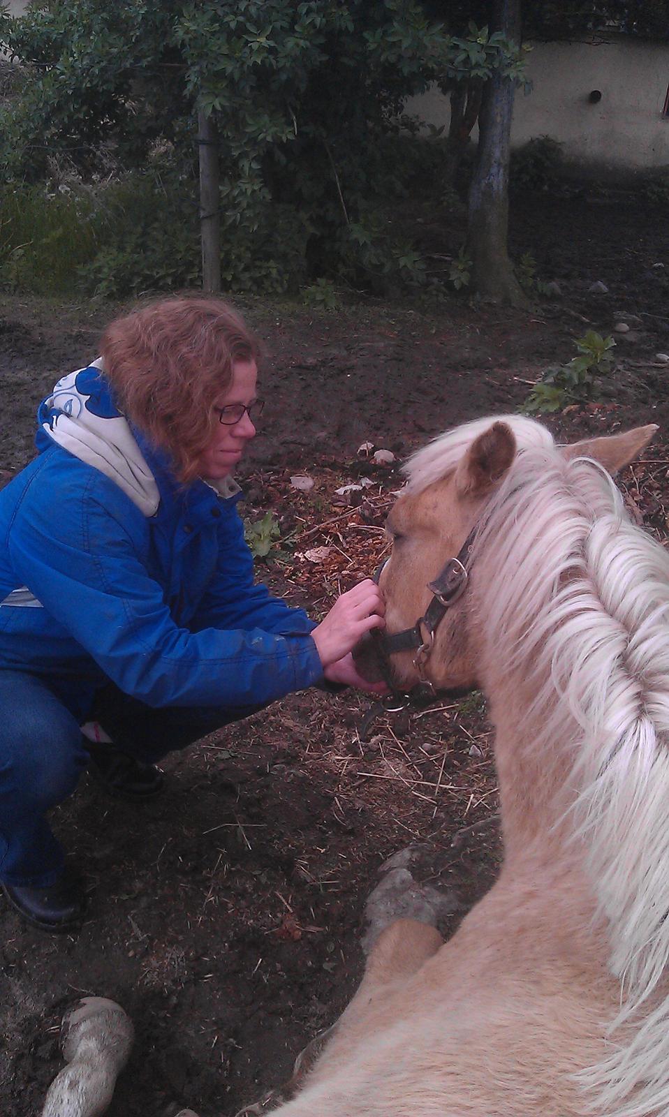 Anden særlig race Topazes conquistador - Con ligger og sover med hagen i mors hånd <3 billede 6