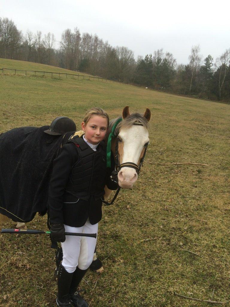 Welsh Mountain (sec A) Femke - Da mig og Femke var i odsherred og red l.c og fik en 3 plads billede 7
