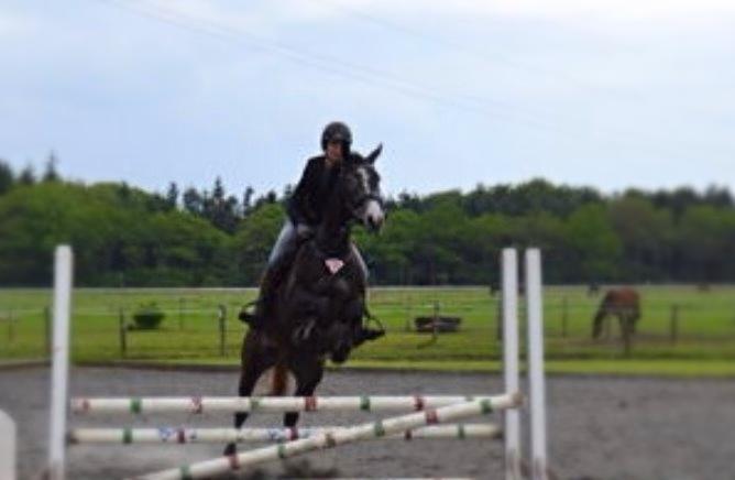 Dansk Varmblod Garb - Det eneste springbillede jeg har, desværre dårlig kvalitet. billede 7