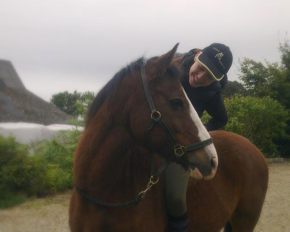 Anden særlig race Chinook billede 5