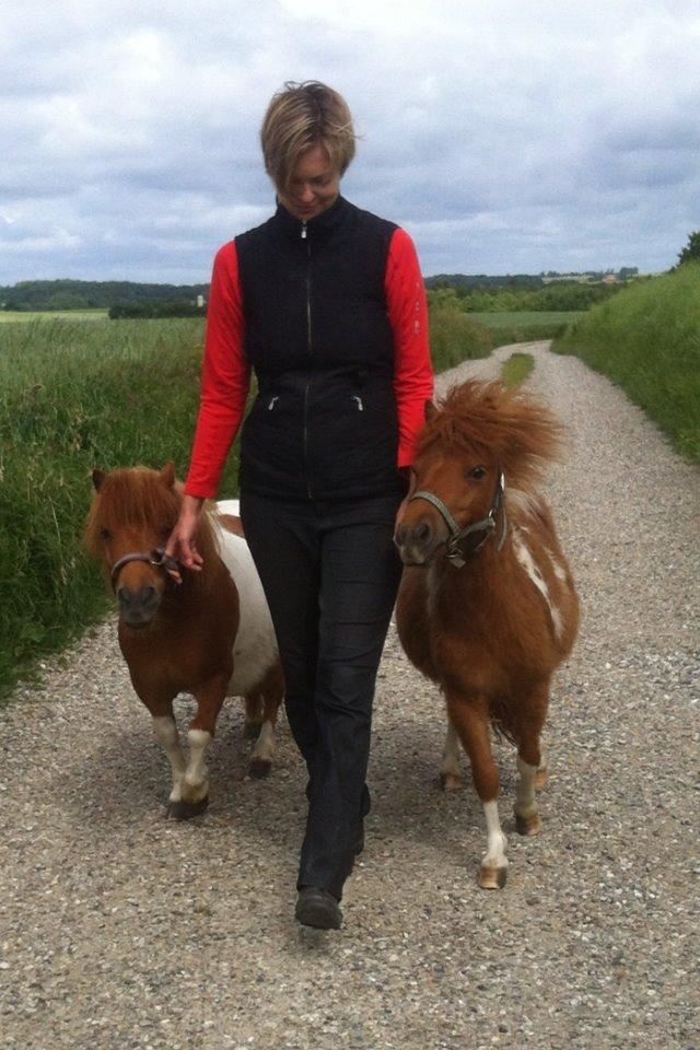 Anden særlig race Line billede 6