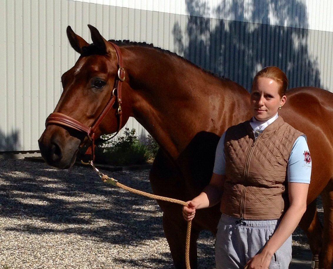 Finsk Varmblod Piece of Art billede 37