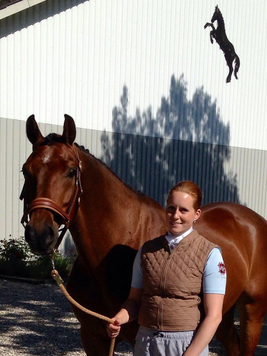 Finsk Varmblod Piece of Art billede 38