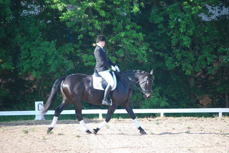 Oldenborg Millers LaMica billede 2