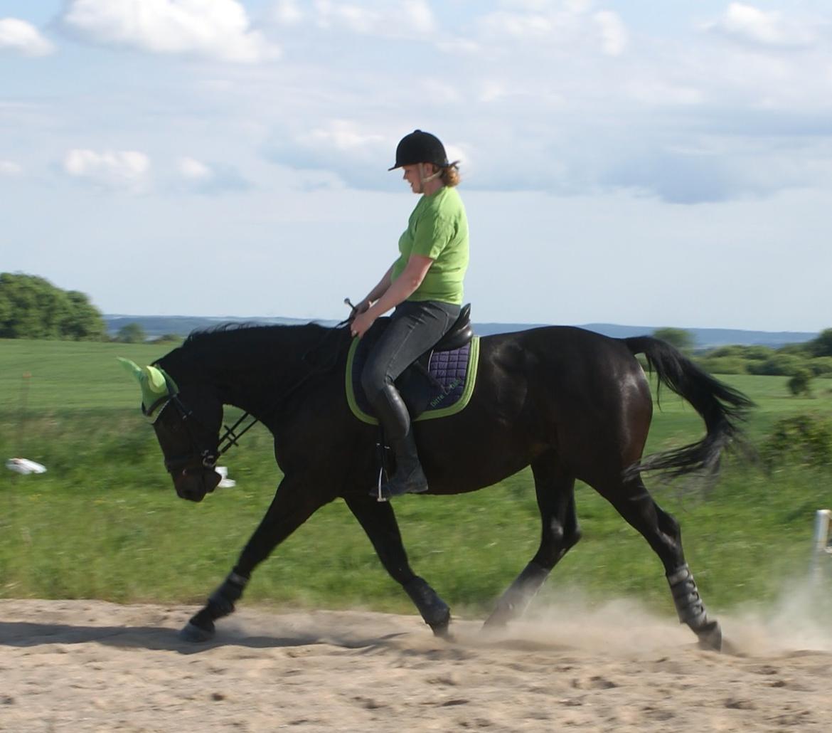 Oldenborg Millers LaMica billede 10