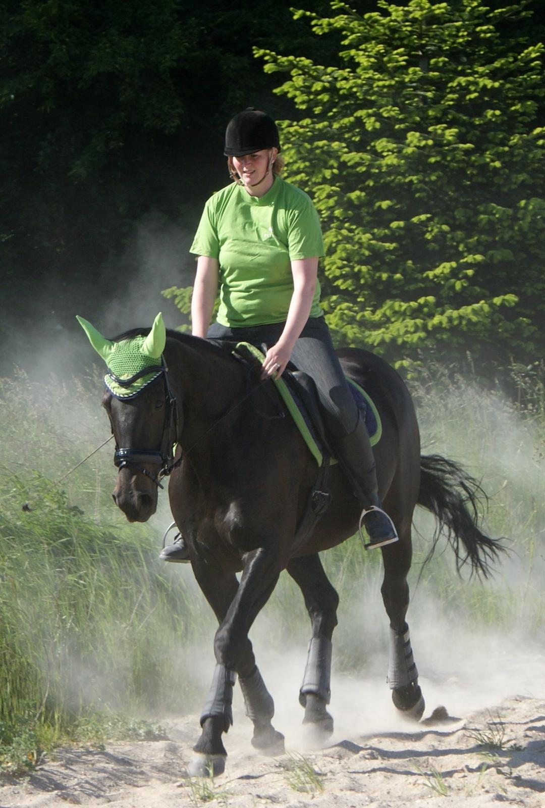 Oldenborg Millers LaMica billede 9