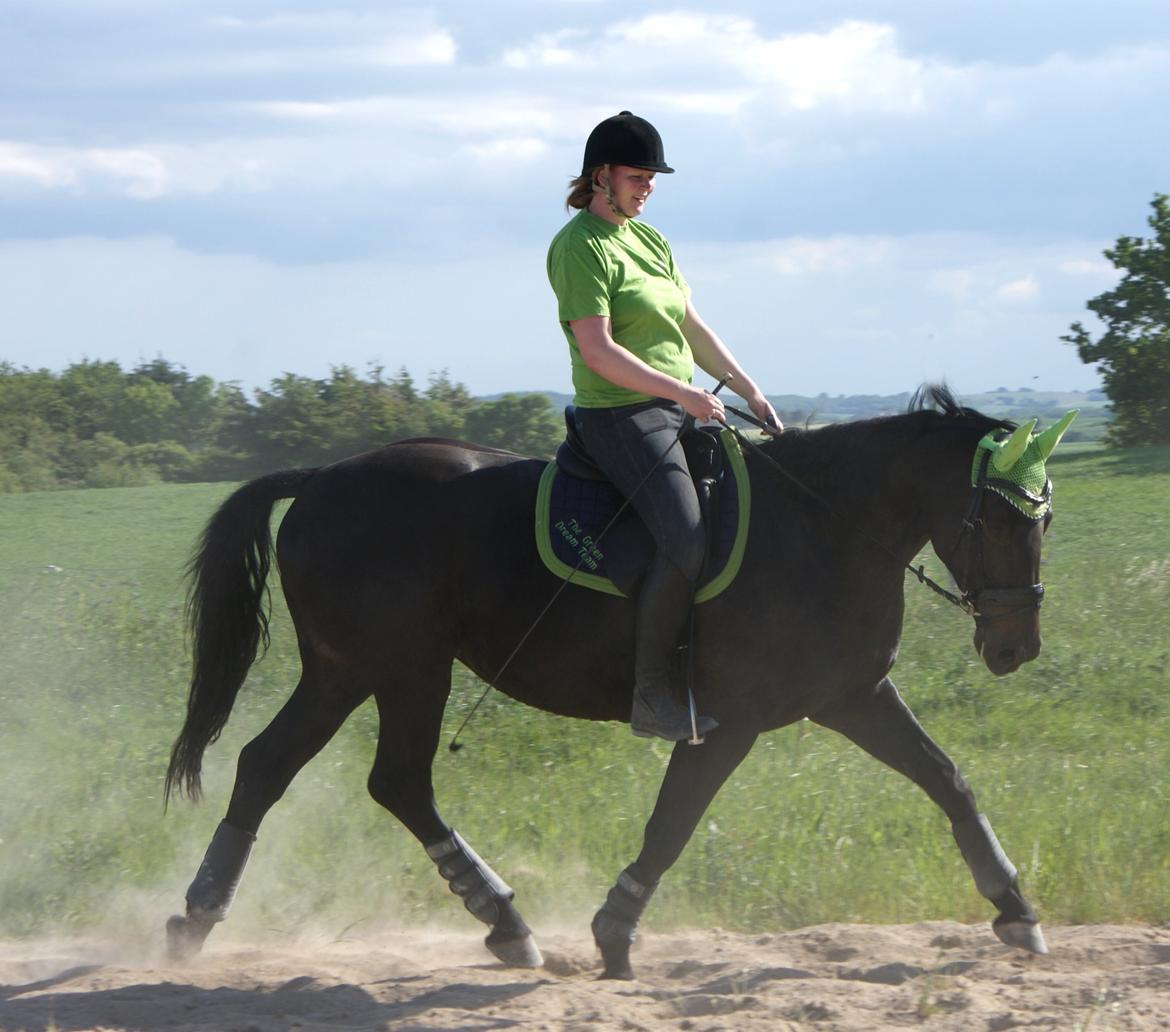 Oldenborg Millers LaMica billede 11