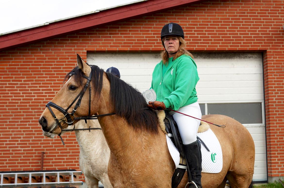 Connemara BREDEMADGÅRDS AICHA billede 1