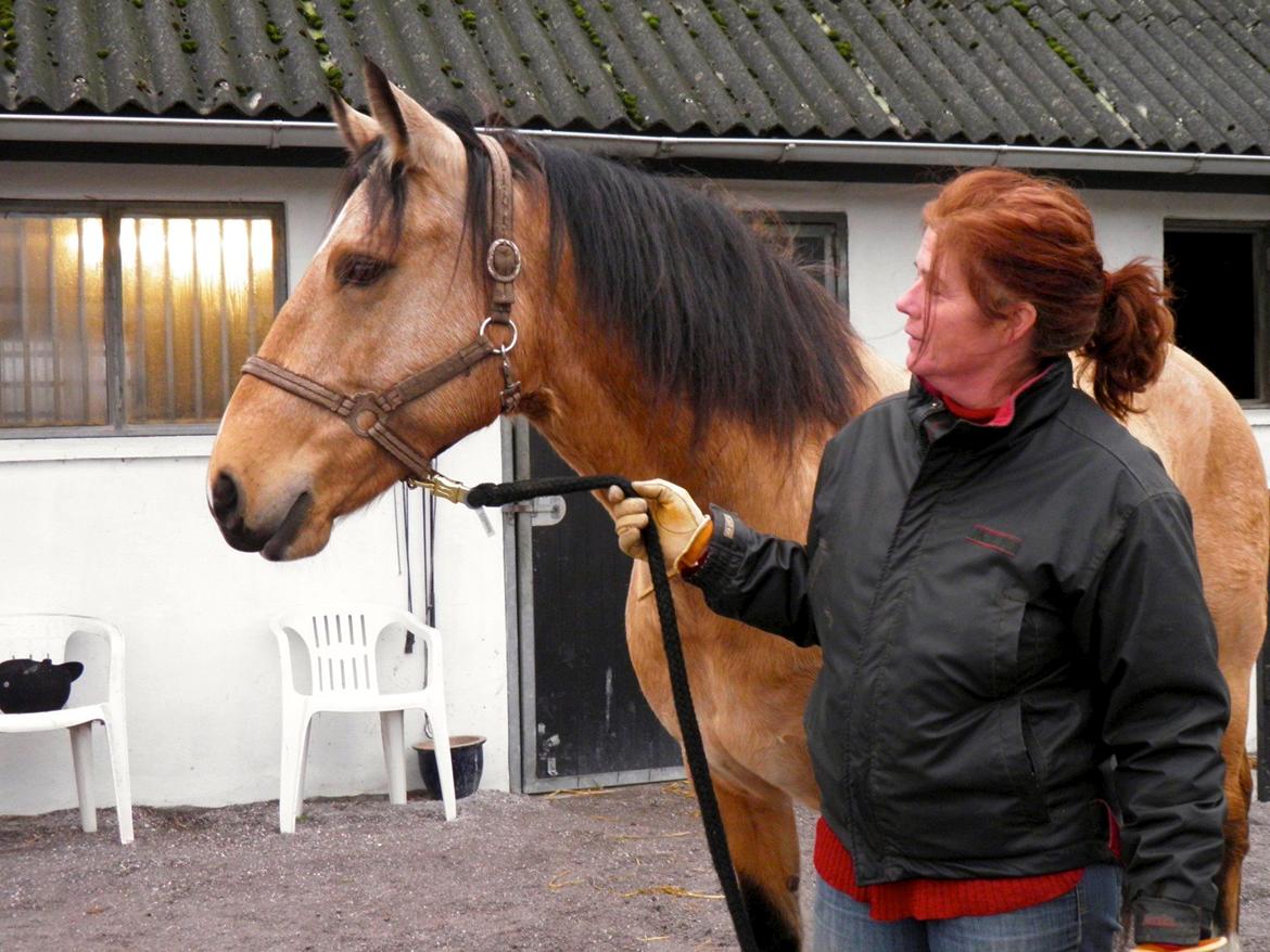 Connemara BREDEMADGÅRDS AICHA billede 29