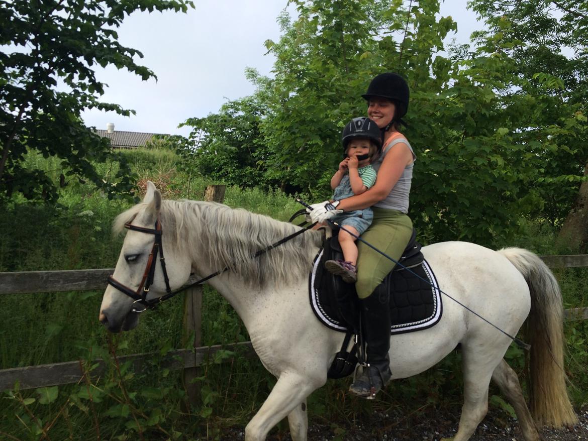 Connemara BREDEMADGÅRDS CILLA billede 22