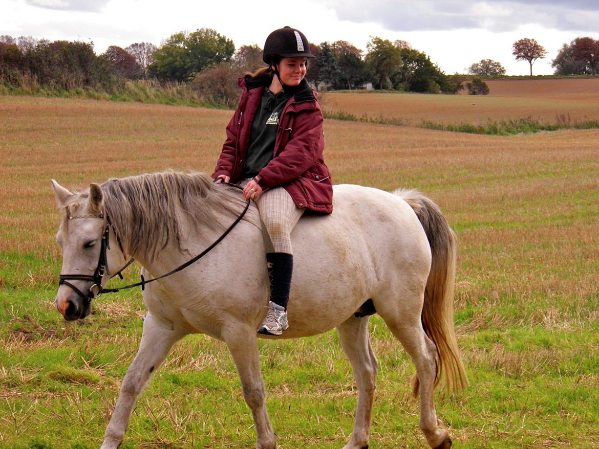 Connemara BREDEMADGÅRDS CILLA billede 31