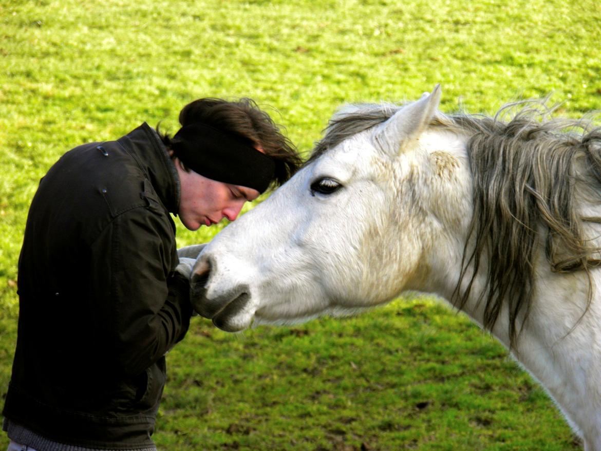Connemara BREDEMADGÅRDS CILLA billede 33