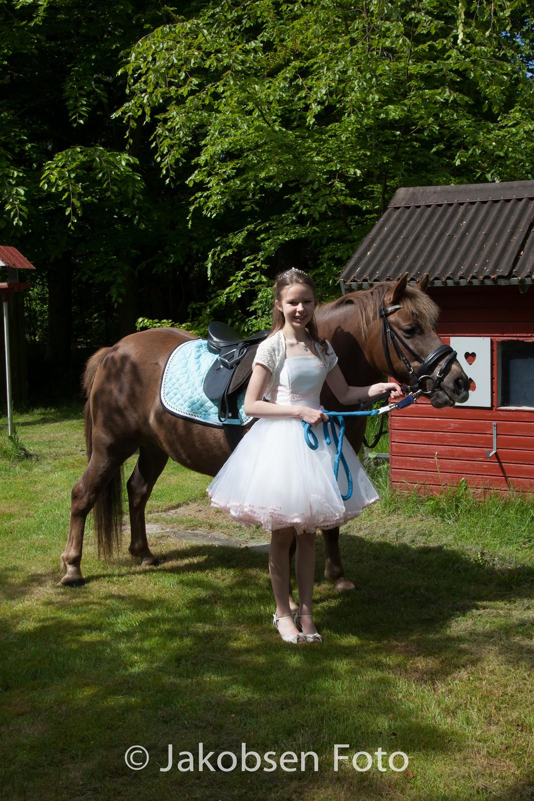 Anden særlig race Diamond Boy (Boy) - min konfirmation <3 billede 2