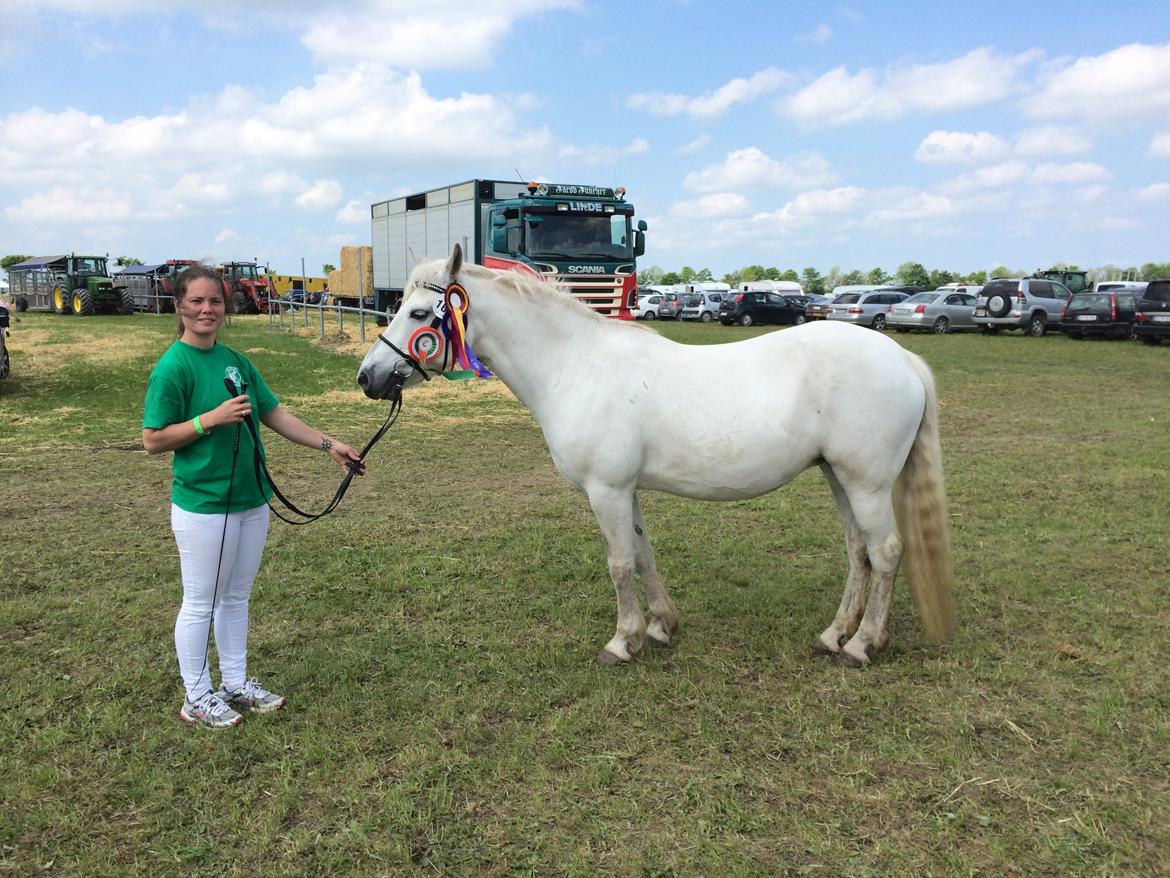 Connemara DEGNELODDENS DONNA billede 9