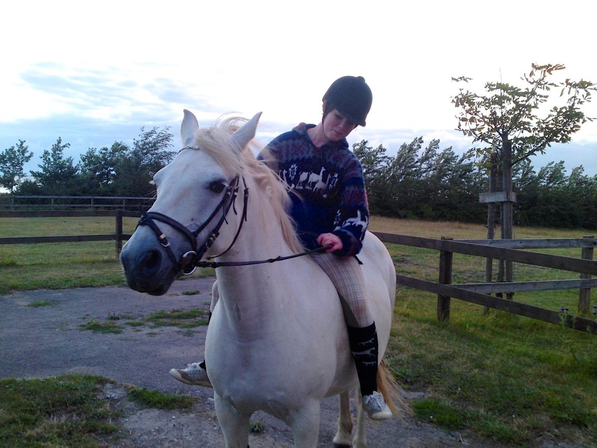 Connemara DEGNELODDENS DONNA billede 32