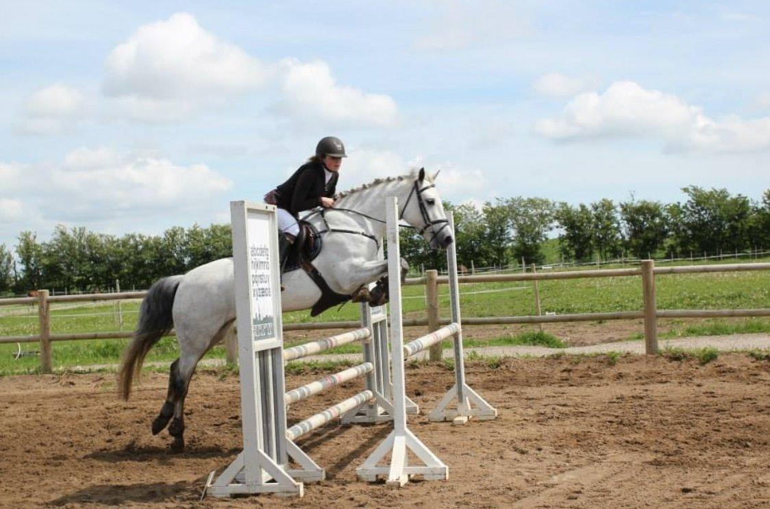 Connemara Roisin Leah - Velkommen til Roisins profil! billede 1