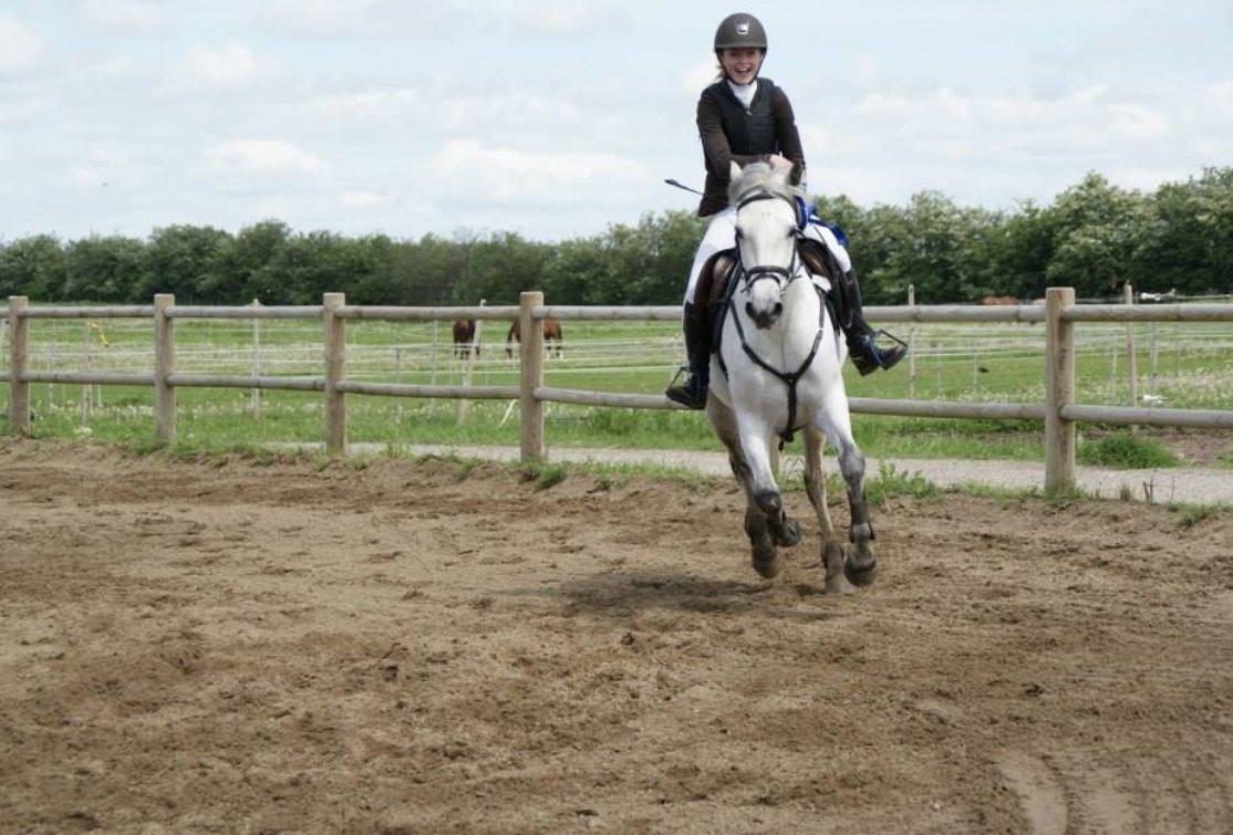 Connemara Roisin Leah - 2pl i LA** billede 2