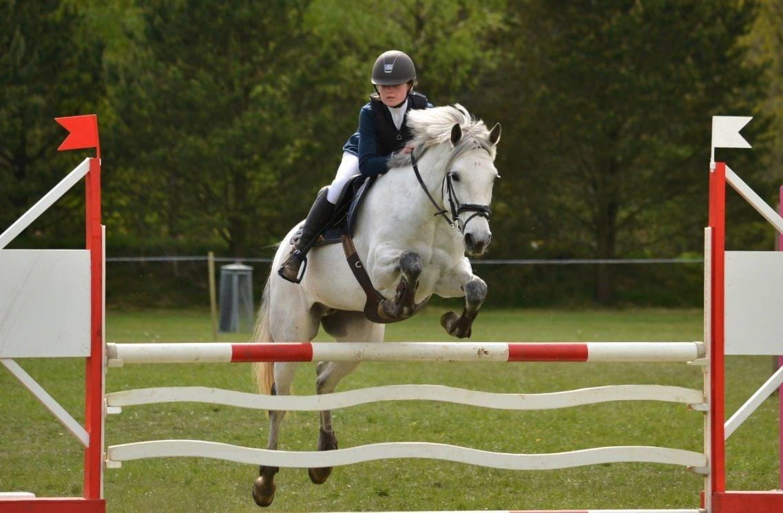 Connemara Roisin Leah billede 4