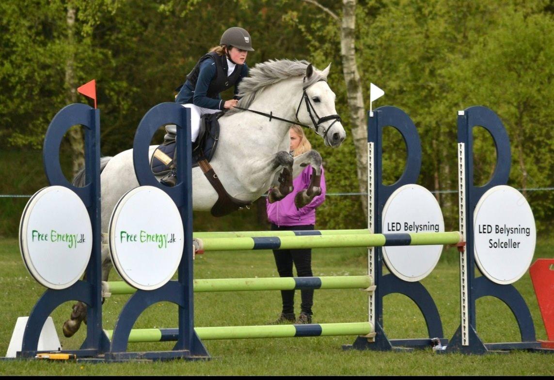 Connemara Roisin Leah billede 5