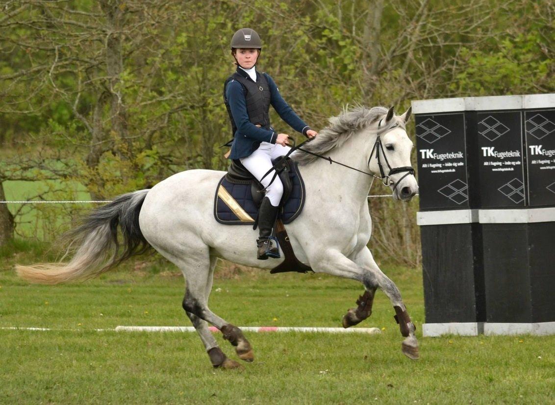 Connemara Roisin Leah billede 6