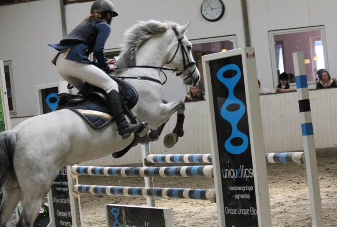 Connemara Roisin Leah billede 8