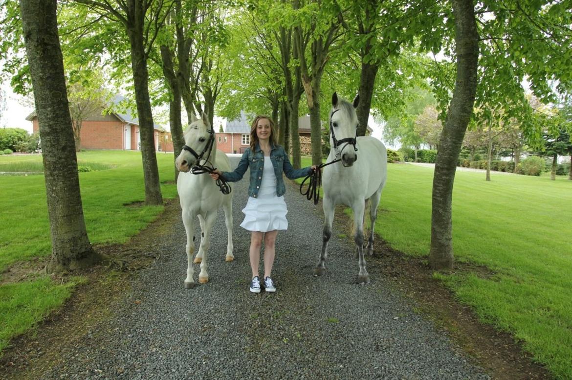 Connemara Roisin Leah - Konfirmation!<3 fantastisk dag! <3 billede 9