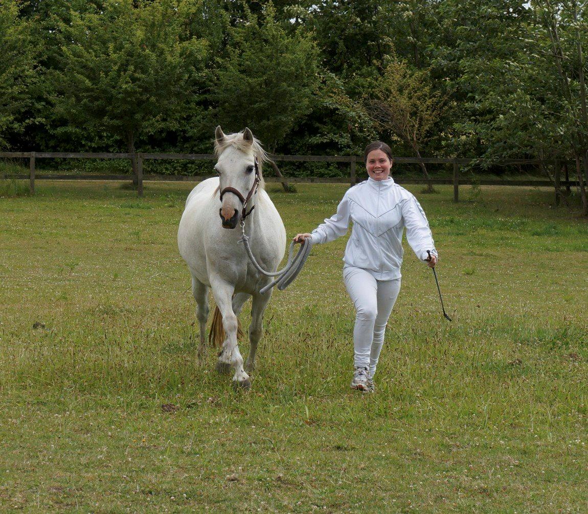 Connemara HYLDENS PRIMULA billede 11