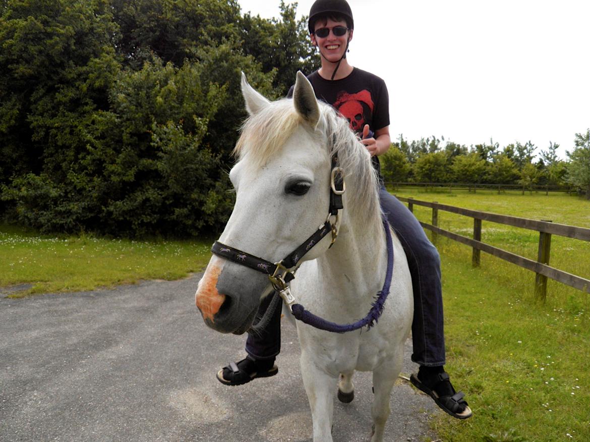 Connemara HYLDENS PRIMULA billede 20