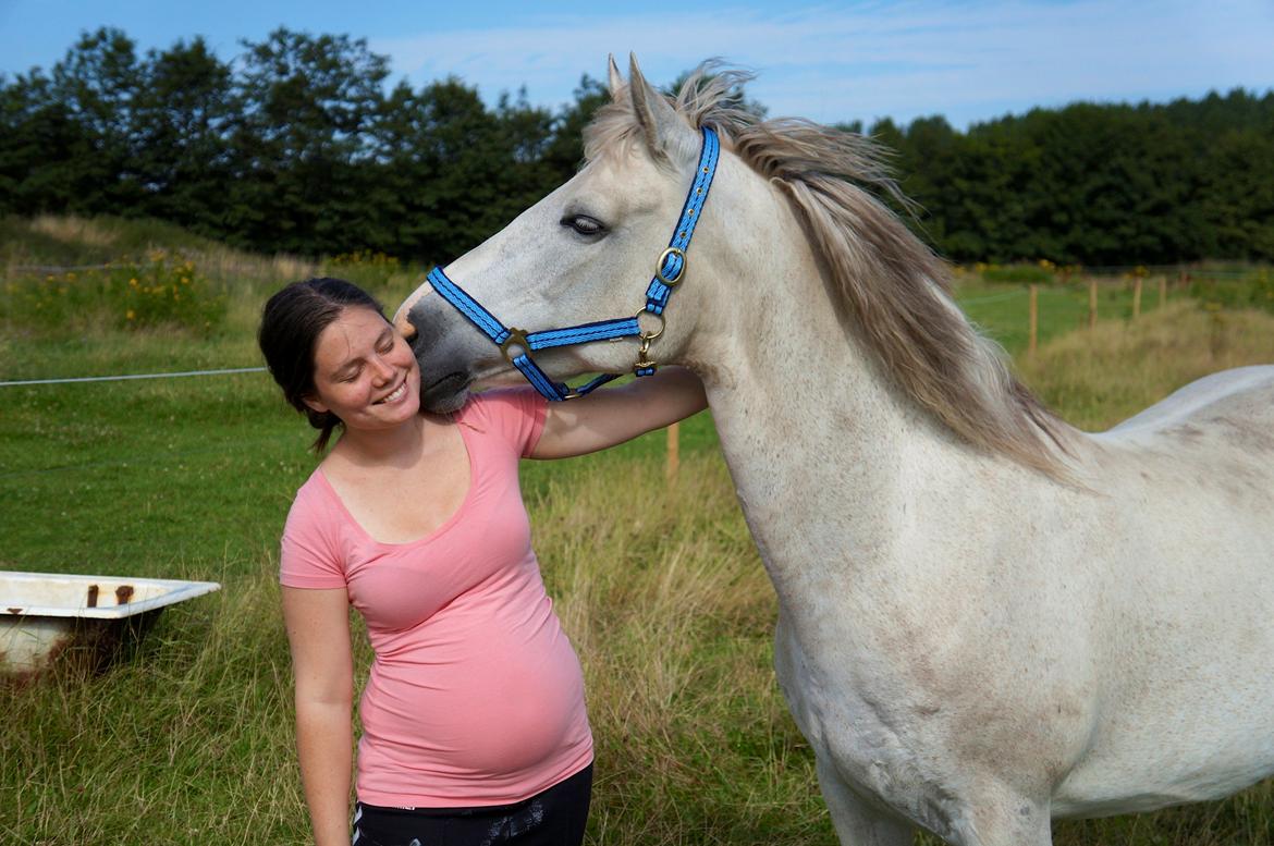 Connemara HYLDENS PRIMULA billede 33