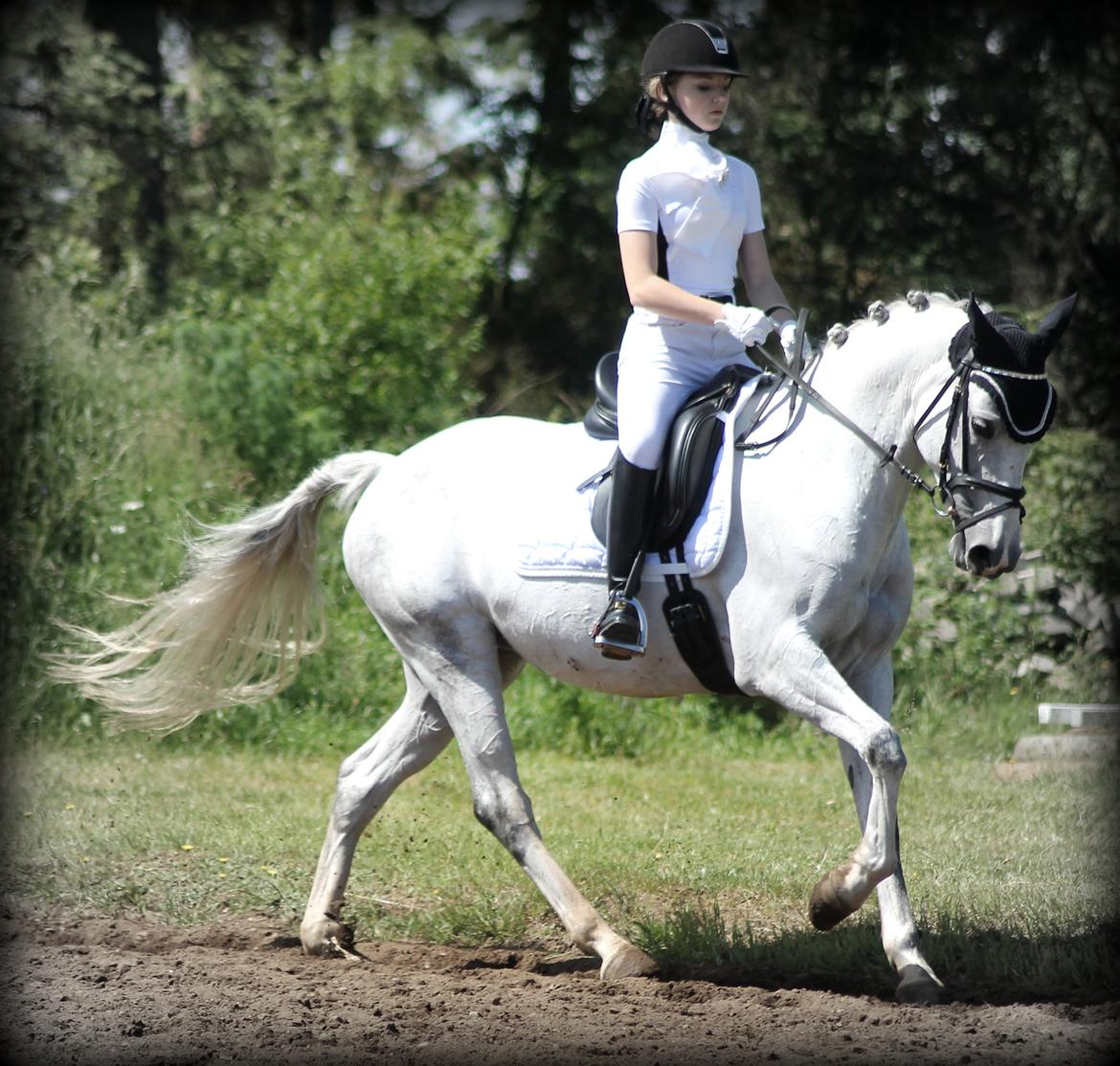 DSP GreenBay Aka. Grønne! billede 1