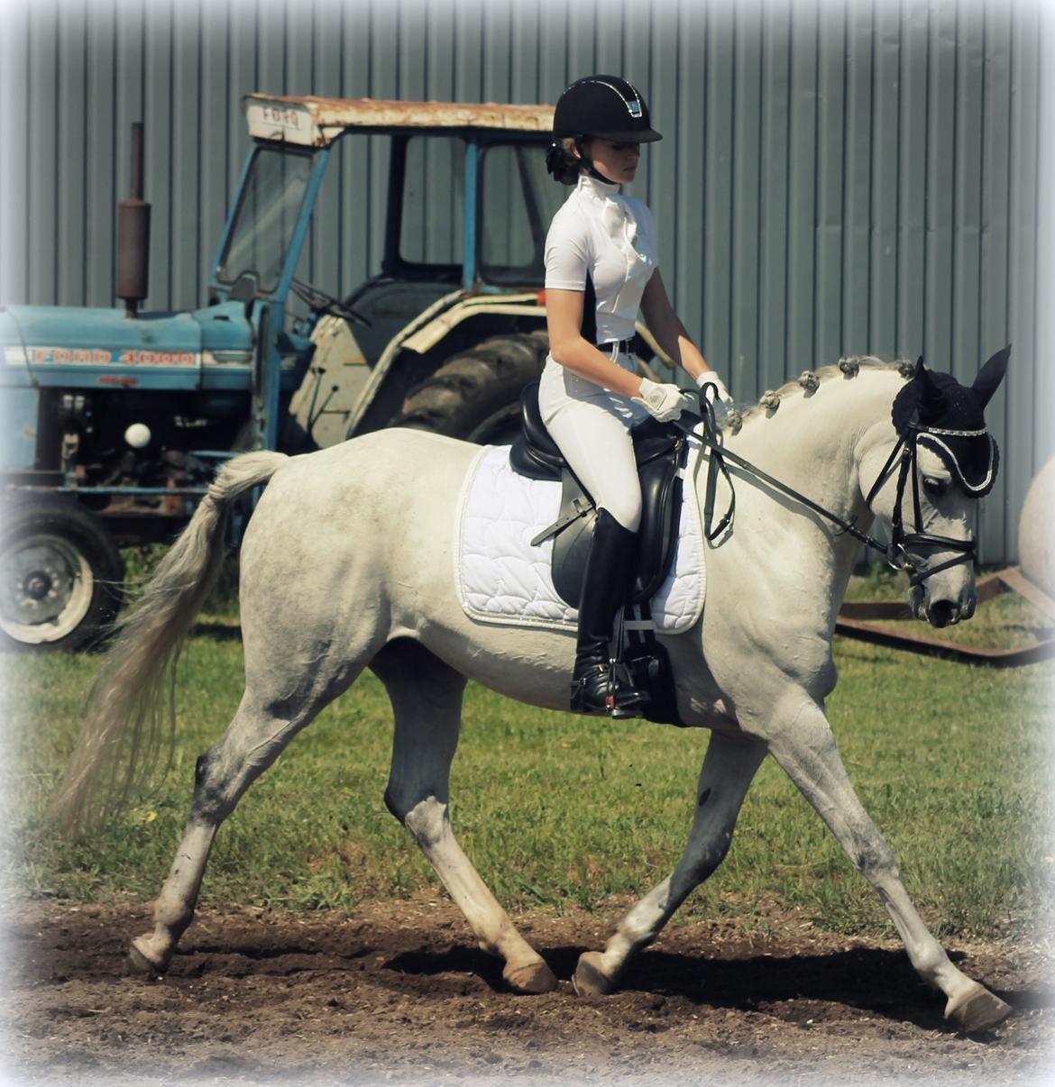 DSP GreenBay Aka. Grønne! billede 18