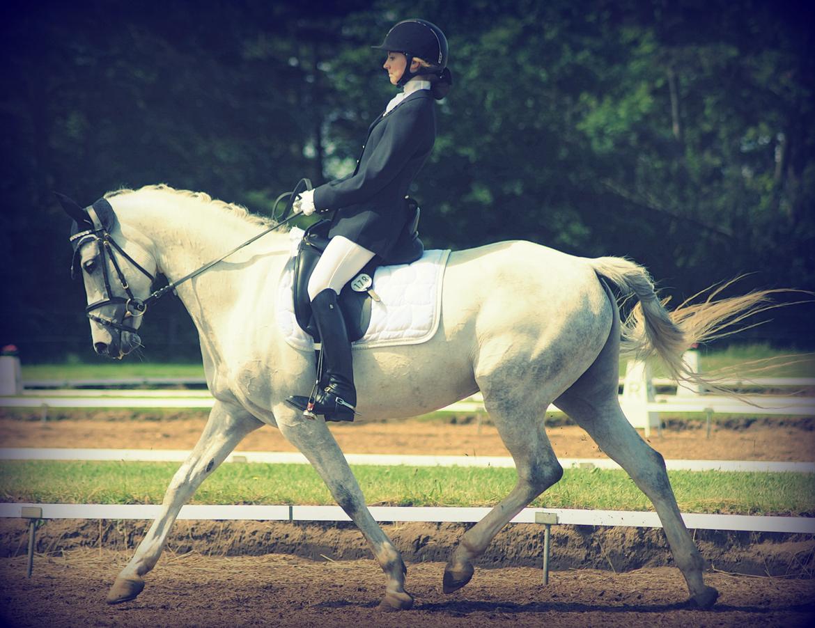 DSP GreenBay Aka. Grønne! billede 2