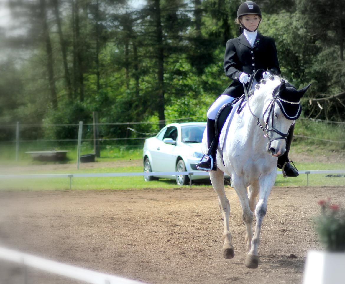 DSP GreenBay Aka. Grønne! billede 19