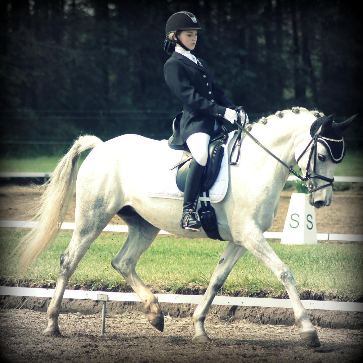 DSP GreenBay Aka. Grønne! billede 20