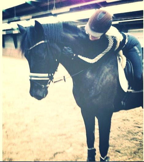 Hannoveraner sir schufro - min baby <3 billede 4