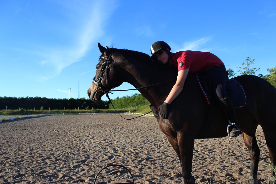 Fuldblod (XX) Obenheimer AKA. Crime R.I.P - En dejlig hest, er lige hvad du er <3 billede 10