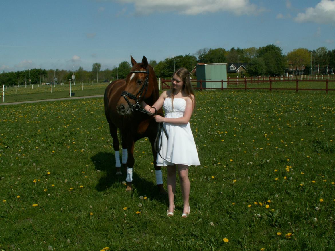 Hannoveraner Selena - Stjernen og jeg til min konfirmation<3 billede 2