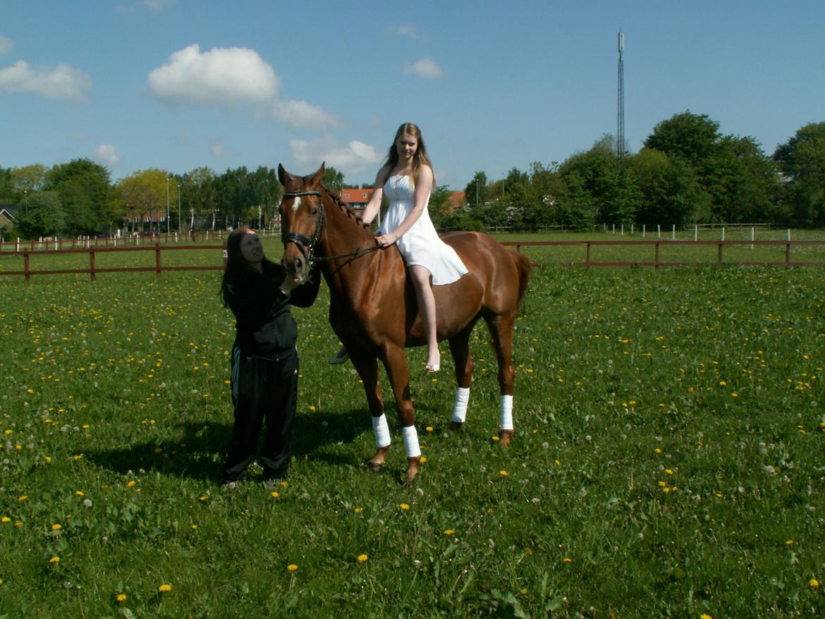 Hannoveraner Selena - Stjernen og jeg+Michell(Ejer) til min konfirmation<3 billede 3