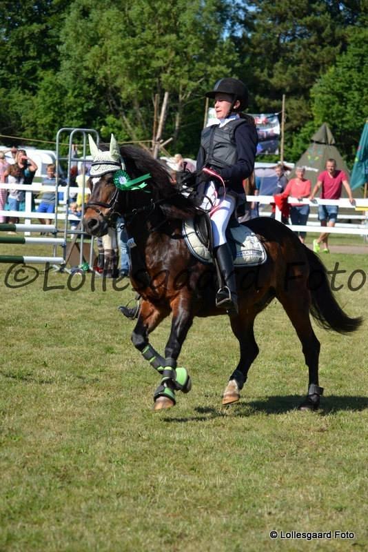 Anden særlig race Cavan - 3plads i spring fynske børnedyreskue 2014 billede 13