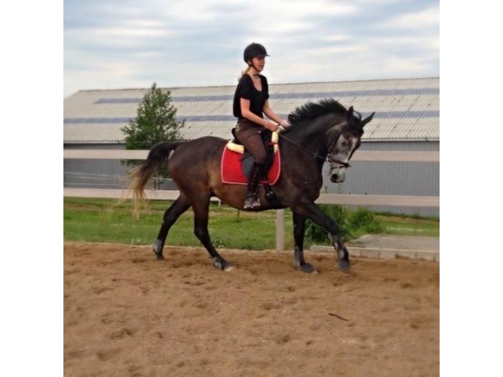 {{currentPhoto.altText}} billede {{currentPhoto.number}}