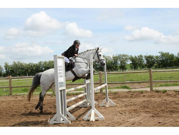 {{currentPhoto.altText}} billede {{currentPhoto.number}}